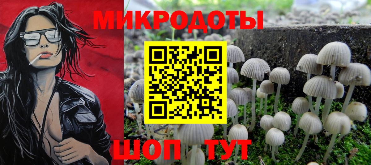 Псилоцибиновые грибы Psilocybe  Галлюциногенные грибы прущие грибы  Вход с VPN  Бузулук 